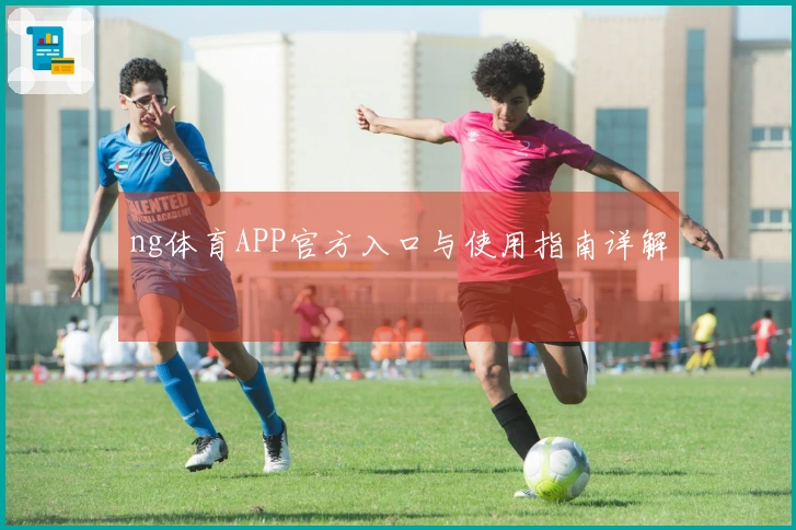 ng体育APP官方入口与使用指南详解