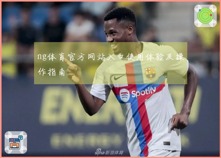 ng体育官方网站入口使用体验及操作指南