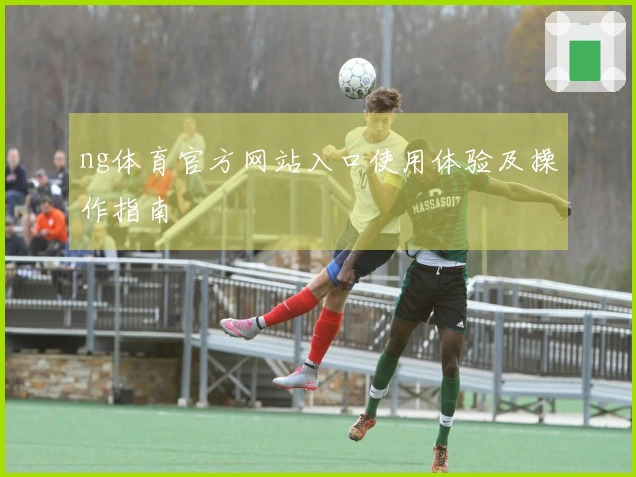 ng体育官方网站入口使用体验及操作指南