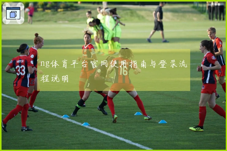 ng体育平台官网使用指南与登录流程说明