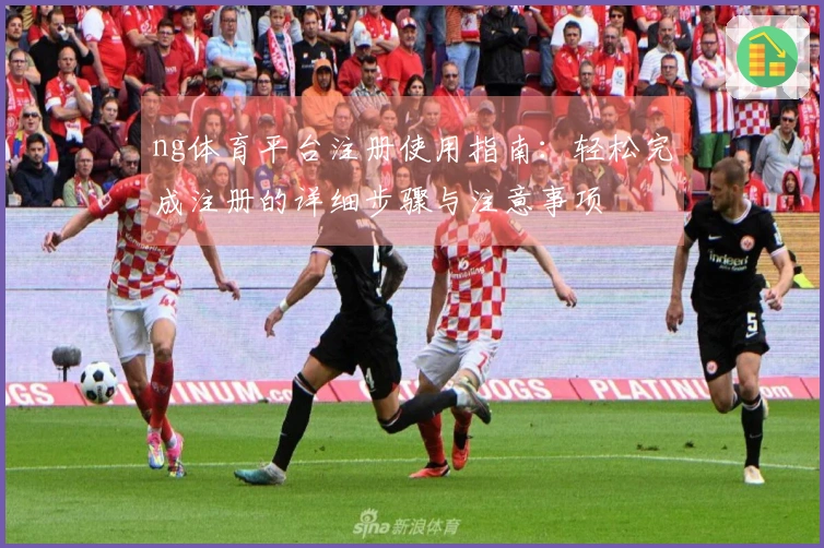 ng体育平台注册使用指南：轻松完成注册的详细步骤与注意事项