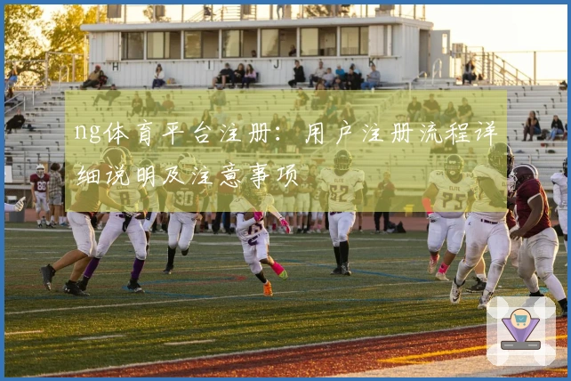 ng体育平台注册：用户注册流程详细说明及注意事项